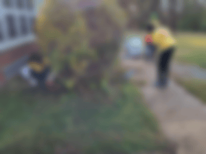 Screen Shot 2023-11-30 at 9.01.05 AM (1)